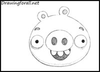 How to Draw Green Pig from Angry Birds