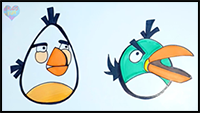 How to Draw and Color Angry Bird Characters: Hal and Matilda