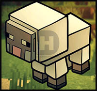How to Draw a Minecraft Sheep