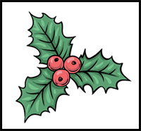 How to Draw a Holly - A Step by Step Guide