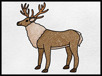 How to Draw a Reindeer