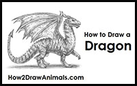 how to draw a dragon