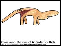 How to Draw Boat an Anteater for Kids