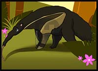 How to Draw an Anteater