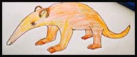 How to Draw Animals for Kids, Drawing Anteater Art Video for Baby