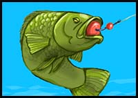 How to Draw a Bass Fish
