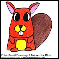 How to Draw a Beaver for Kids