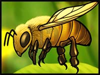 How to Draw Cartoon Bees & Realistic Bees : Drawing Tutorials & Drawing &  How to Draw Bees Drawing Lessons Step by Step Techniques for Cartoons &  Illustrations