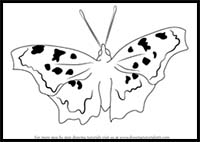 How to Draw an Eastern Comma