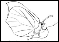 How to Draw a Brimstone Butterfly