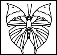 How to Draw an Orange Oakleaf Butterfly