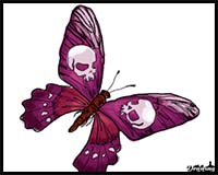 How to Draw a Skull Butterfly