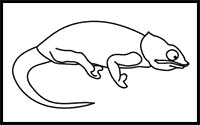 How to Draw a Chameleon