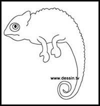 Drawing Chameleon