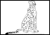 How to Draw a Cheetah Sitting