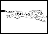 How to Draw a Cheetah Running
