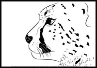 How to Draw a Cheetah's Head
