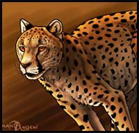 How to Draw Cheetahs, Cheetah Cat