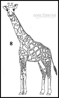 How to Draw Giraffes : Drawing Tutorials & Drawing & How to Draw
