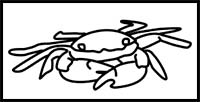 How to Draw a Shore Crab