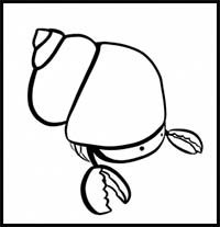 How to Draw a Cute Cartoon Hermit Crab