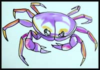 How to Draw a Crab - Step by Step Tutorial