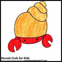 How to Draw a Hermit Crab for Kids