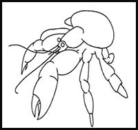 How to Draw a Coconut Crab