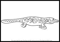 How to Draw Marvin Mosasaurus from Dinosaur Train