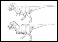How to Draw a T-Rex Dinosaur
