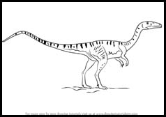 How to Draw a Coelophysis