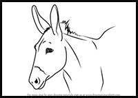 How to Draw a Donkey Face