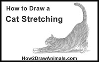 how to draw a cat stretching