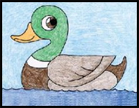 draw a duck