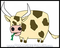 how to draw a cartoon cow