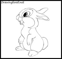 how to draw rabbits for kids
