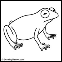 How to Draw a Frog – A Step by Step Tutorial – Artlex