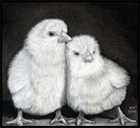 how to draw realistic baby chickens