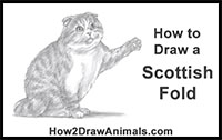 how to draw a cat playing