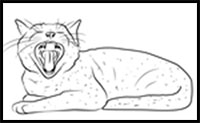 how to draw yawning cat