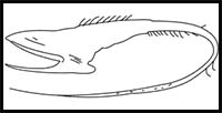 How to Draw a Gulper Eel