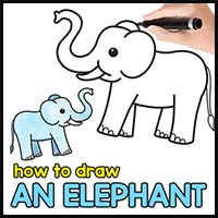 How to Draw an Elephant – Step by Step Elephant Drawing Tutorial