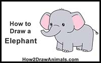 How to Draw an Elephant (Cartoon)