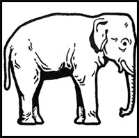 How to Draw Elephants with Step by Step Drawing Tutorial