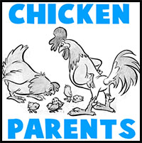 how to draw cartoon chickens with hen, rooster and baby chicks