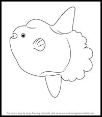 How to Draw an Ocean Sunfish
