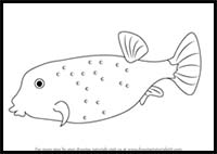 How to Draw a Yellow Boxfish