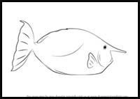 How to Draw a Whitemargin Unicornfish