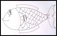 How to Draw Fish Step by Step Easy
