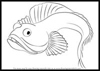 How to Draw a Sarcastic Fringehead